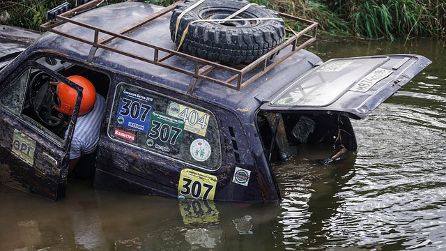 尤为引人注 尤为引人注