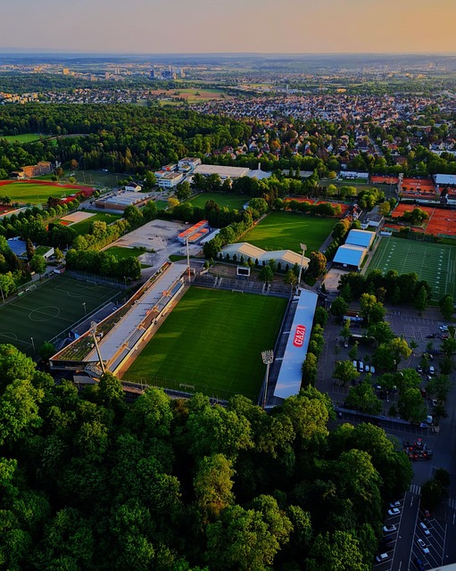 成功案例分 成功案例分