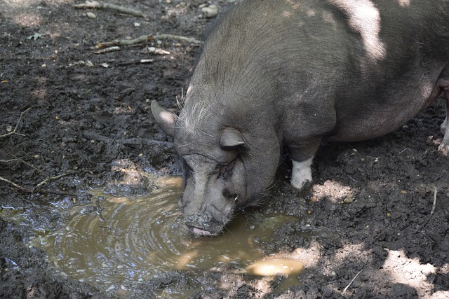 在财政公平 在财政公平